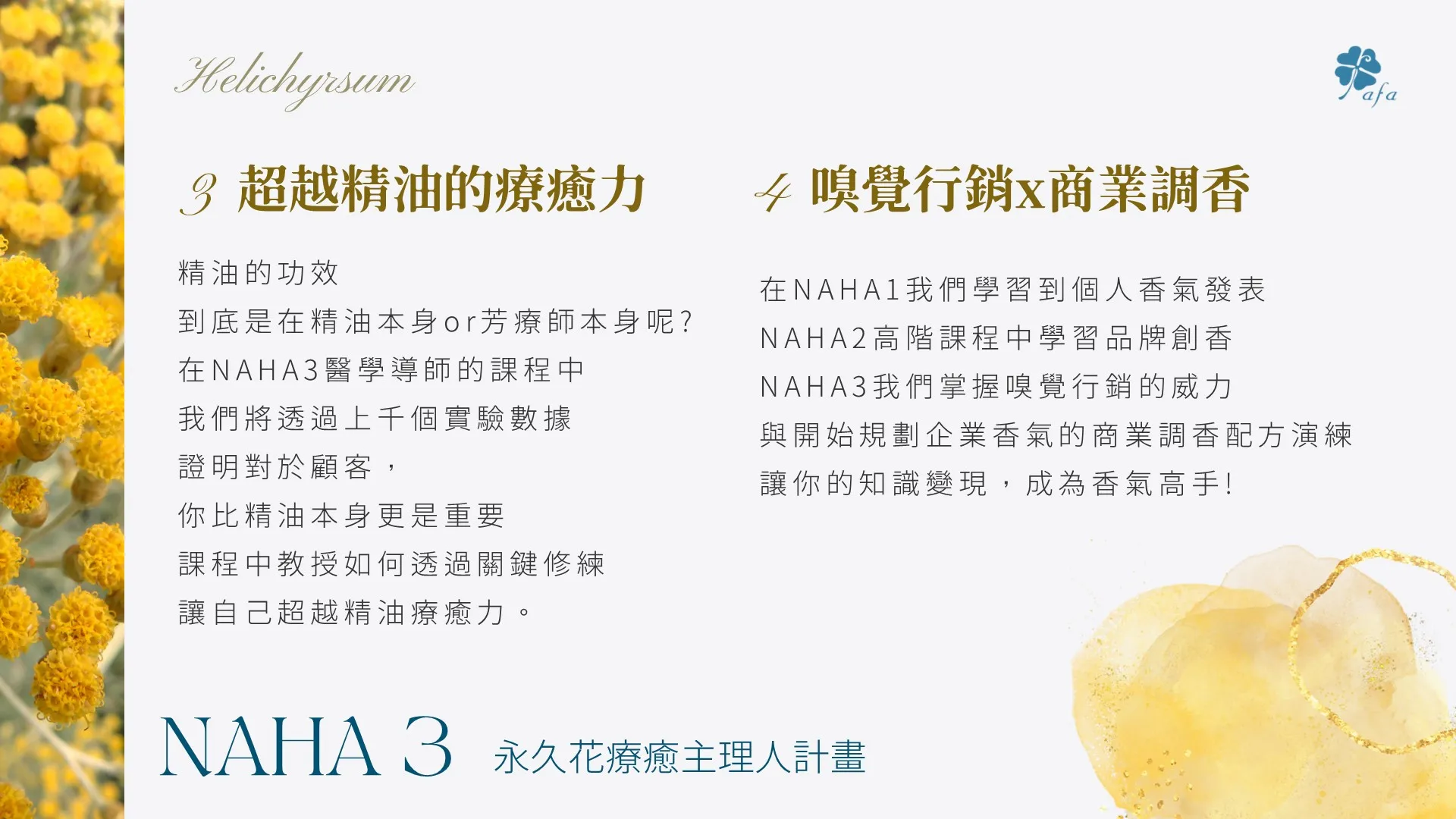 美國NAHA3最高等級醫學導師班