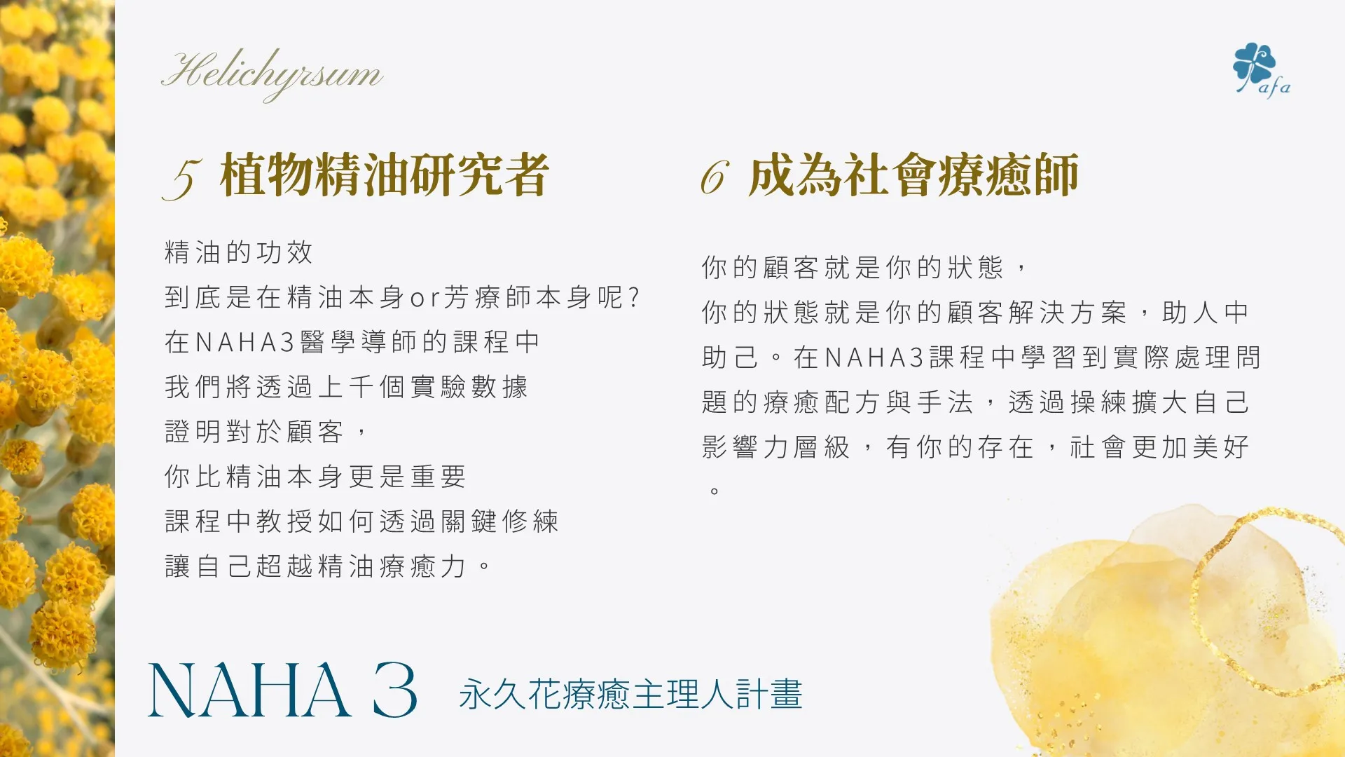 美國NAHA3最高等級醫學導師班