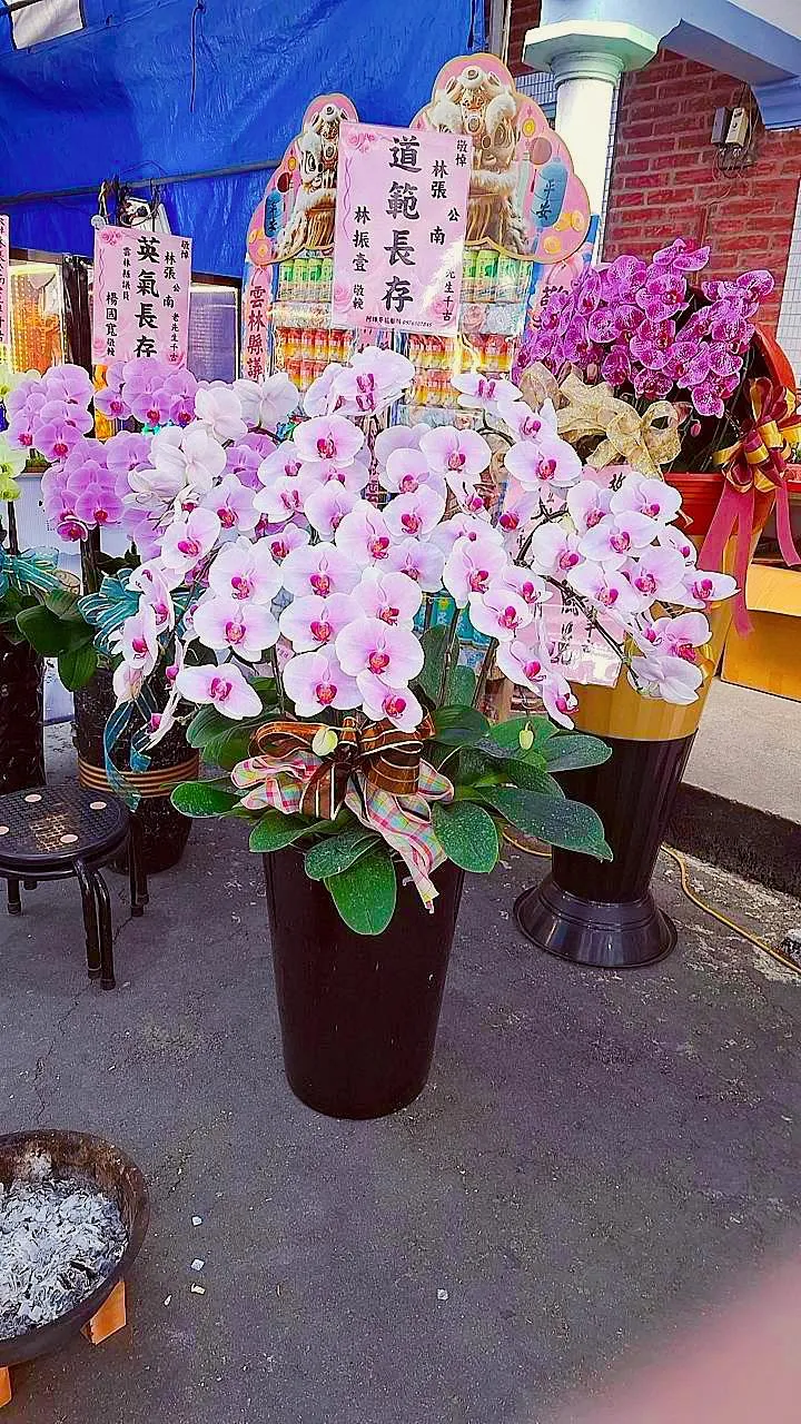 訂製《#追思蘭花乙盆》｜雲林喪禮花籃｜ 靈獅酒櫃｜二崙鄉花店