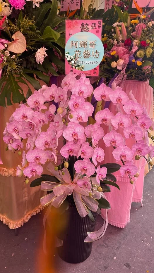 訂製《#追思蘭花乙盆》｜雲林喪禮花籃｜雲林告別式花籃
