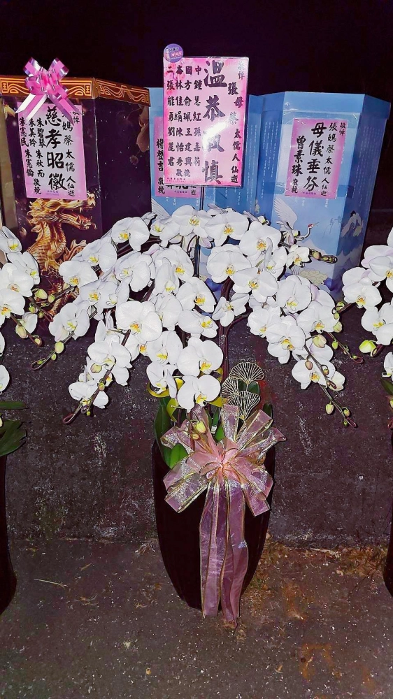 蘭花盆景