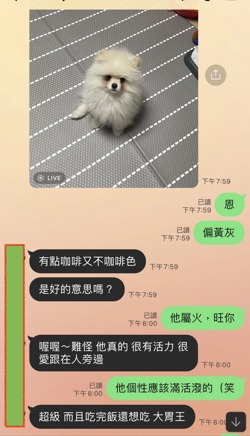 和合法事/感情挽回見證