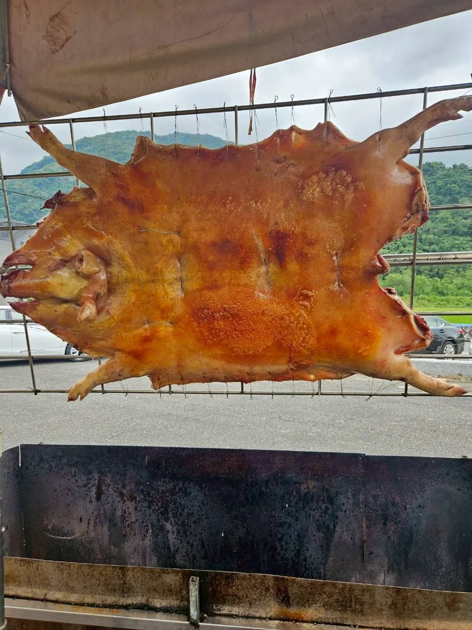 烤豬適合哪些場合？