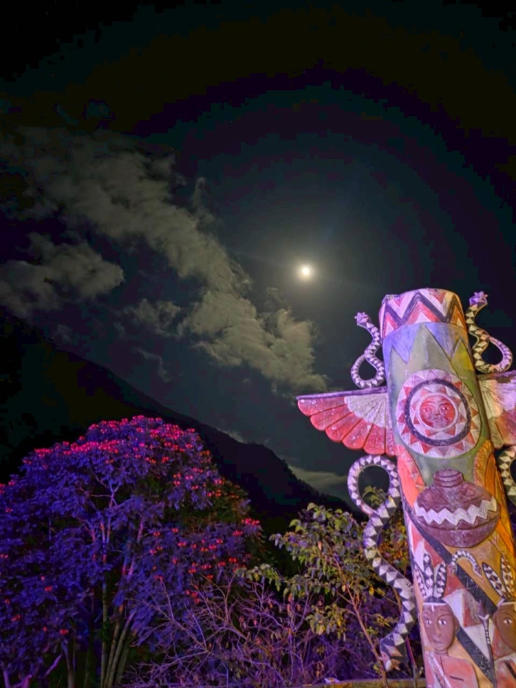 114.10.05天龍飯店客人訂購烤豬