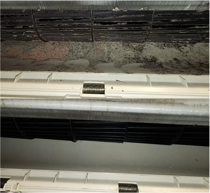 清潔前後對照圖，讓您看得見