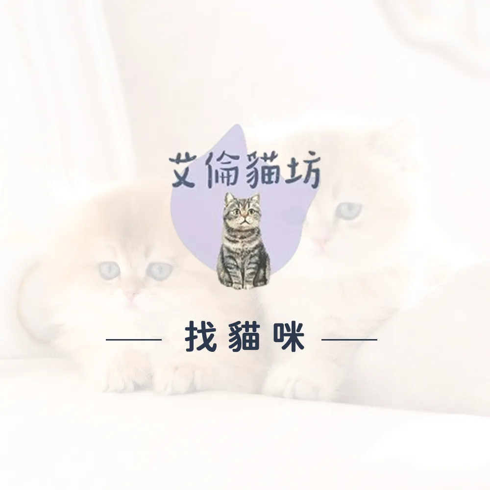 網站架設中，敬請期待~~
