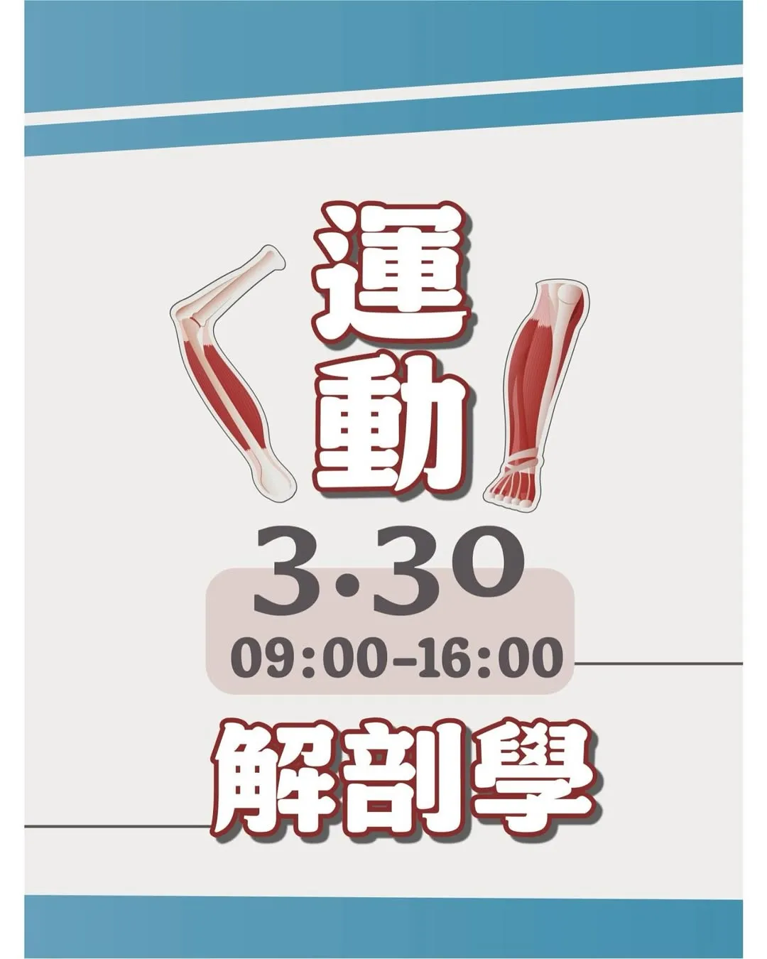 運動解剖學
