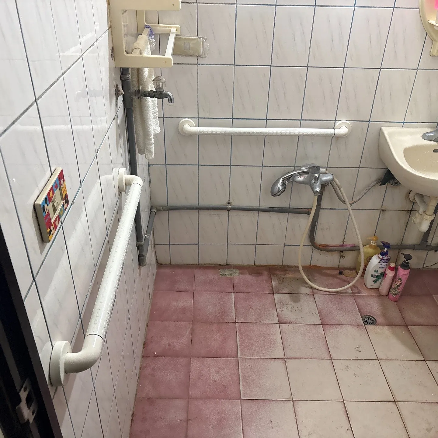 桃園市平鎮區中豐路山頂段案例分享｜抗菌防滑扶手