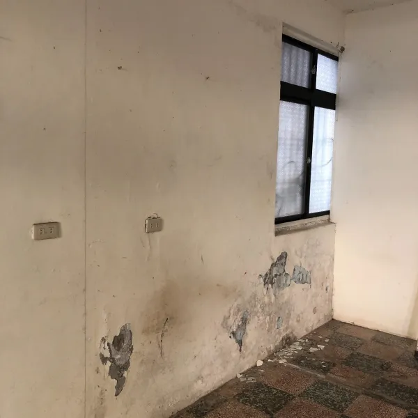 一樓室內壁癌