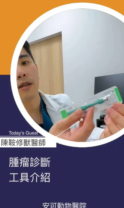 發現腫瘤該怎麼辦？！