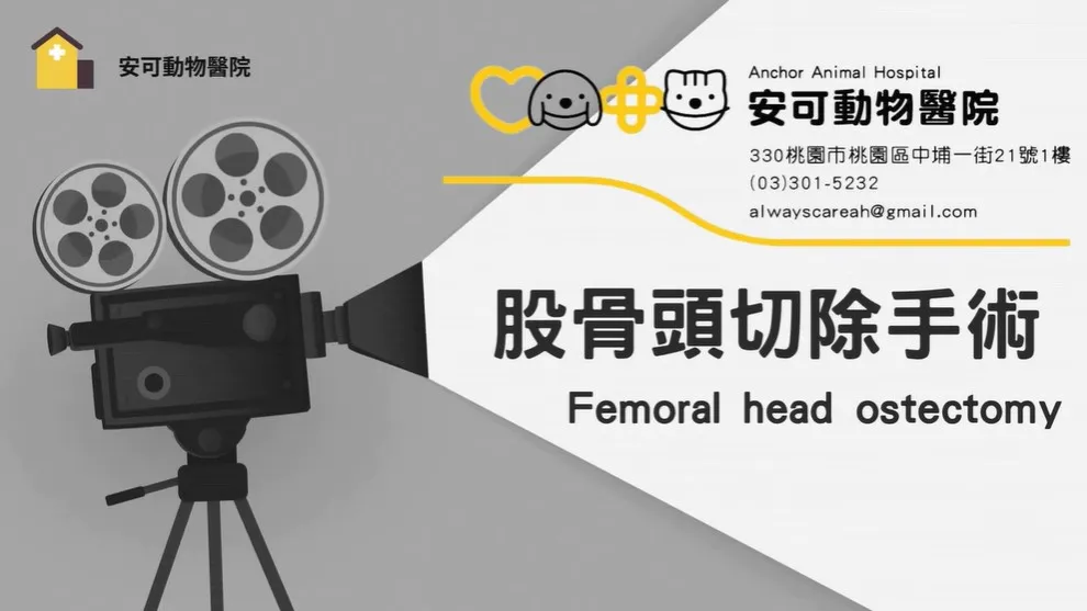 股骨頭切除手術