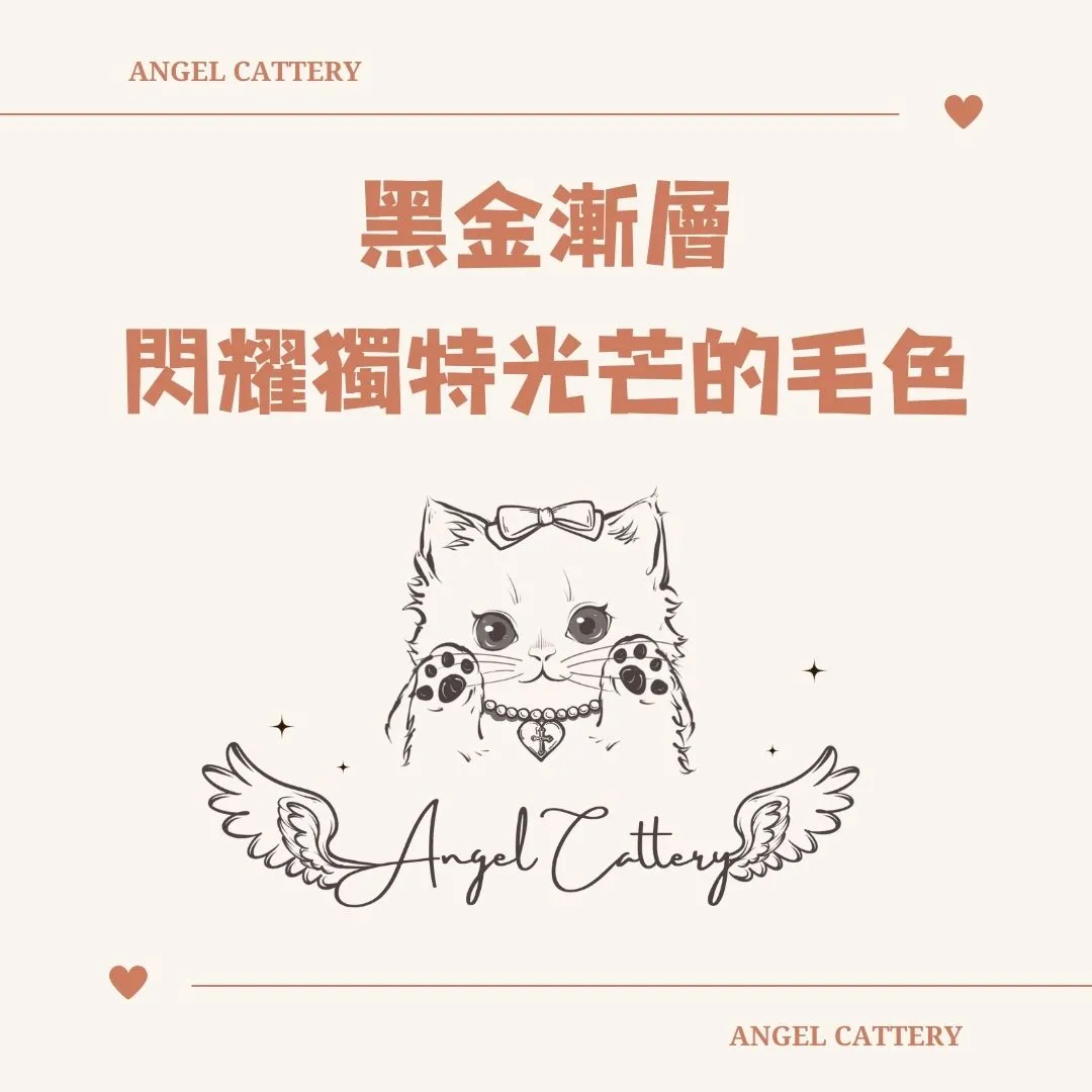 【毛色分享】金漸層