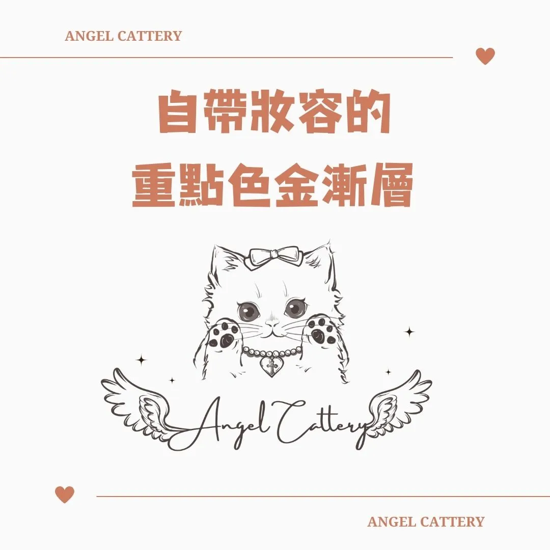 【毛色分享】金點漸層