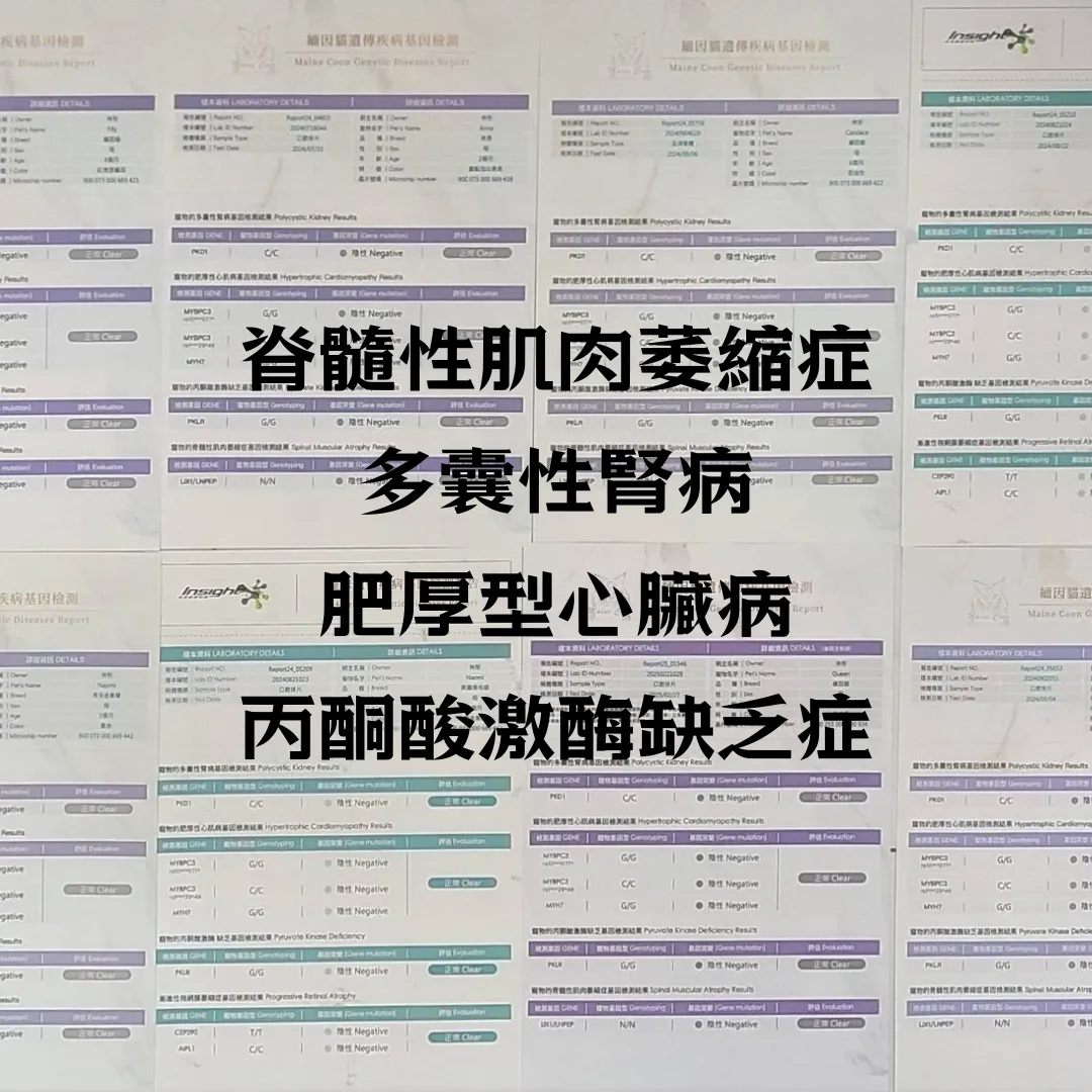 基因檢測
