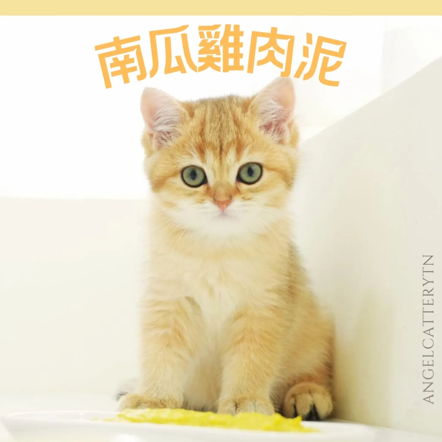 下午茶來點「南瓜雞肉泥」~