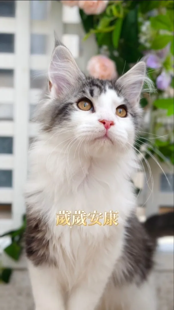 有些相遇，不只是巧合。