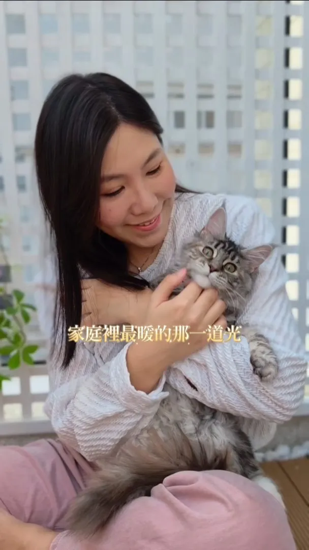 超愛依偎撒嬌的緬因貓妹妹們