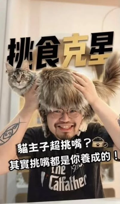 貓咪挑食怎麼辦?
