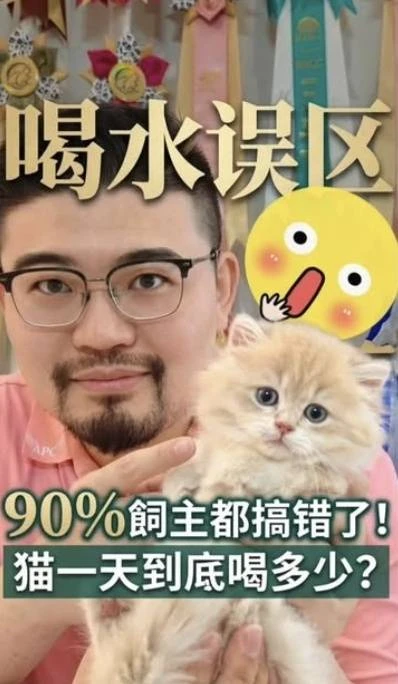 貓咪喝水的重要性