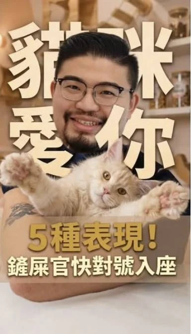 你家貓主子有多愛你?