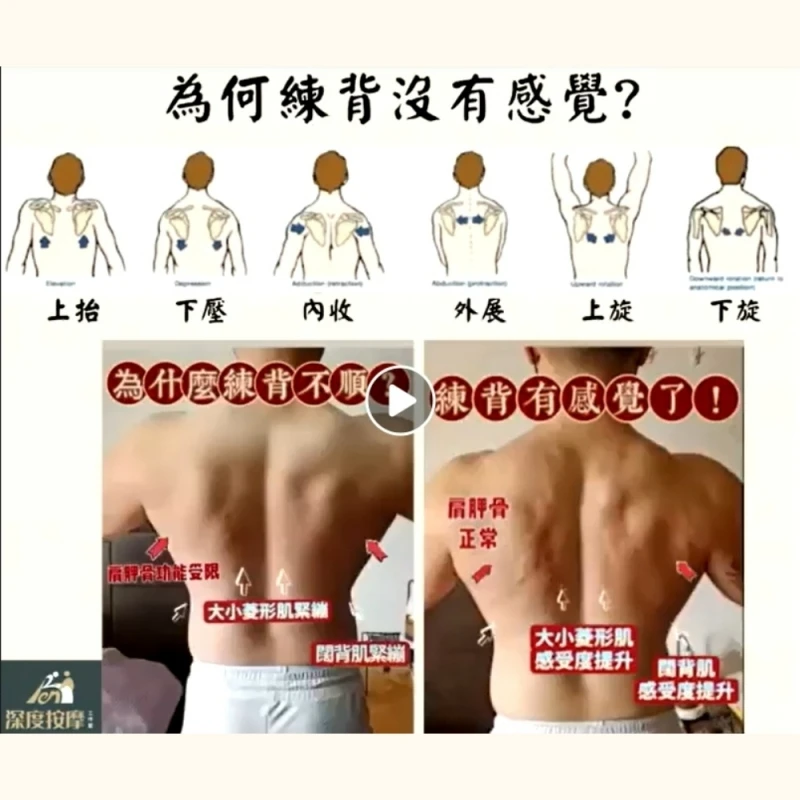 為什麼練背不順? | Ren 深度按摩工作室 | 新竹運動按摩推薦
