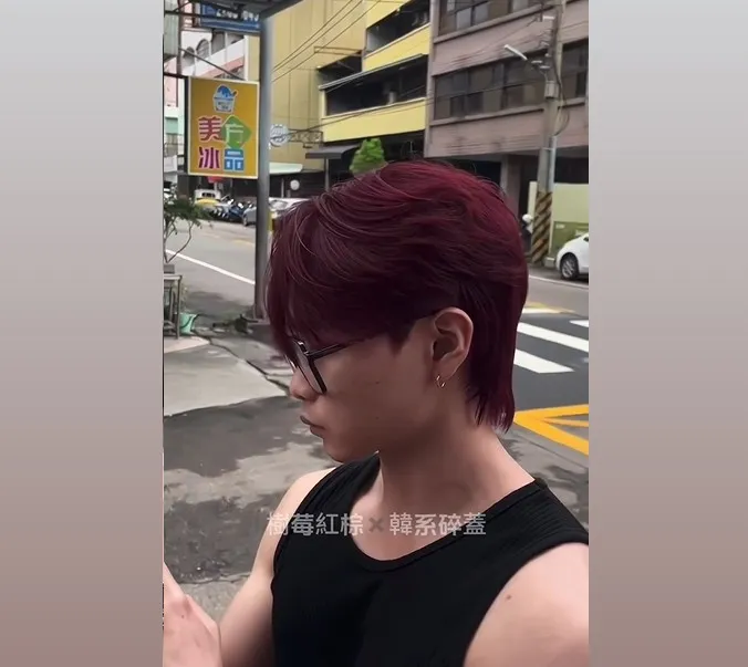 樹莓紅棕 X 韓系碎蓋