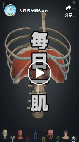 橫膈膜運動解剖：原來呼吸淺、肩頸酸和它有關-高雄肌肉放鬆/高雄肌肉按摩