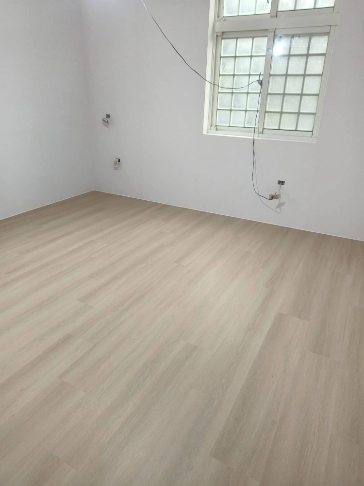 平鎮區三興路 SPC 033