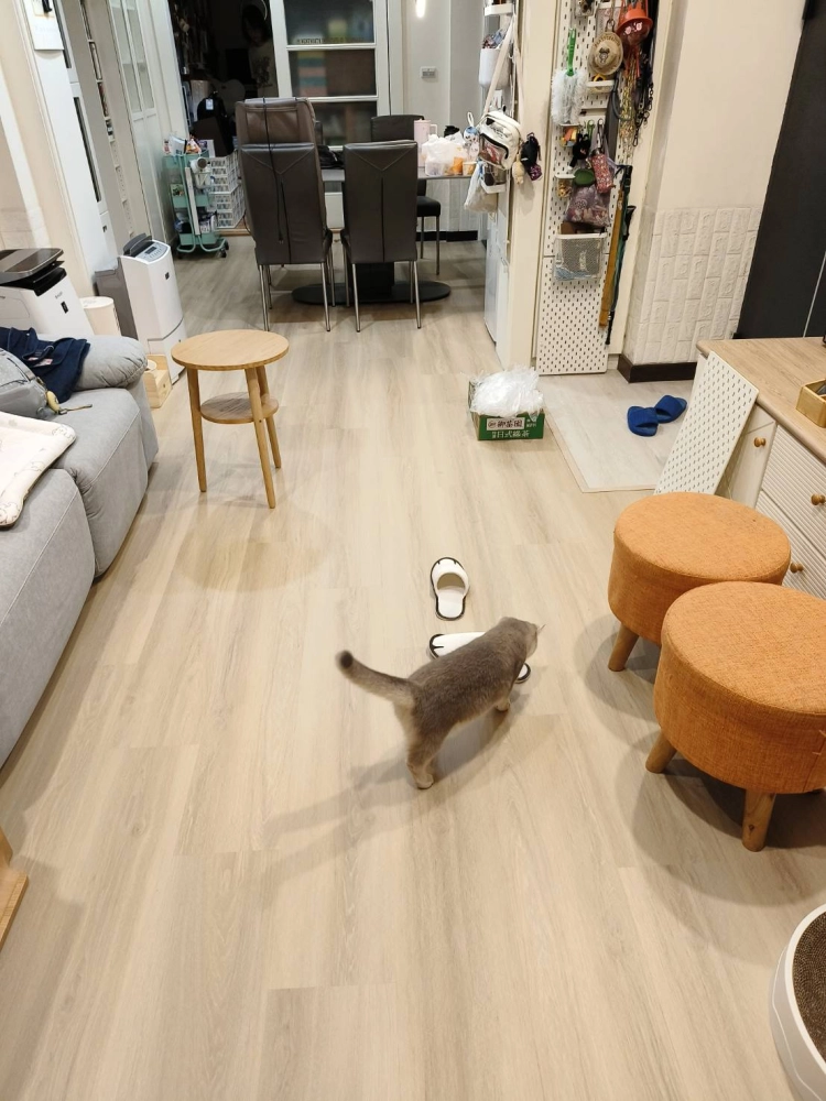 士林基河路 806 SPC