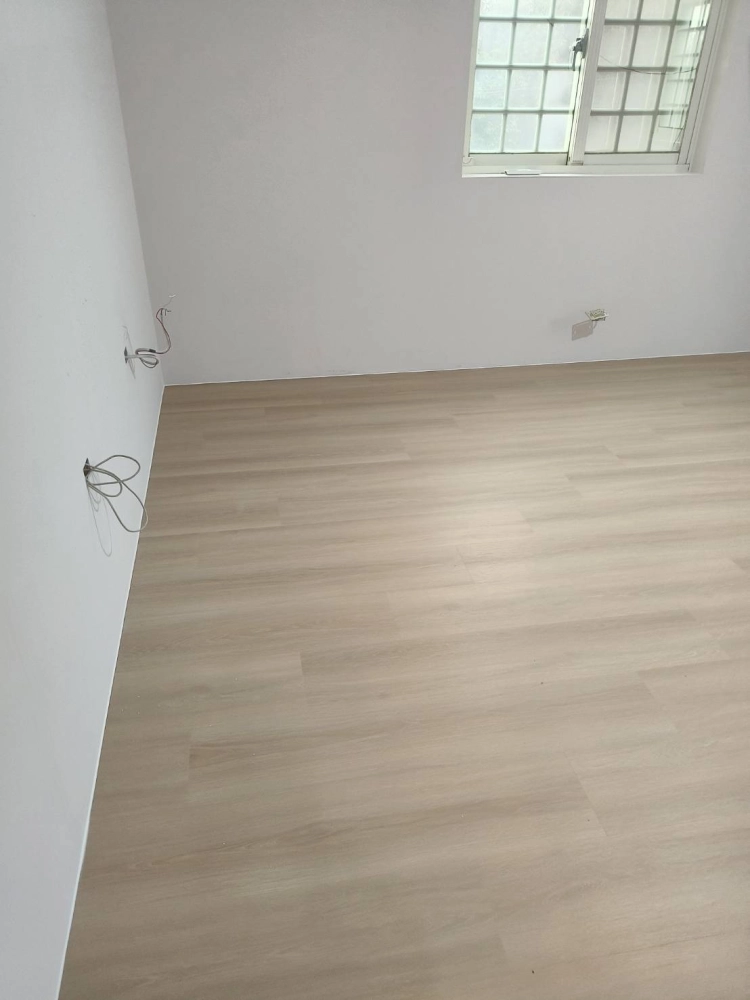 平鎮區三興路 SPC 033