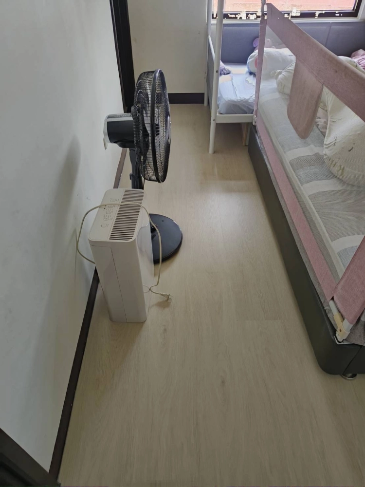 觀音玉林路 016 SPC