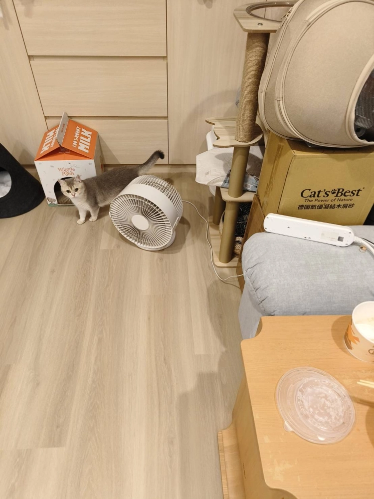 士林基河路 806 SPC