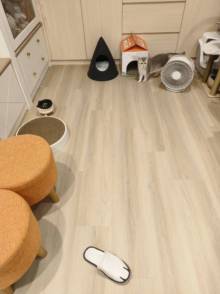 士林基河路 806 SPC