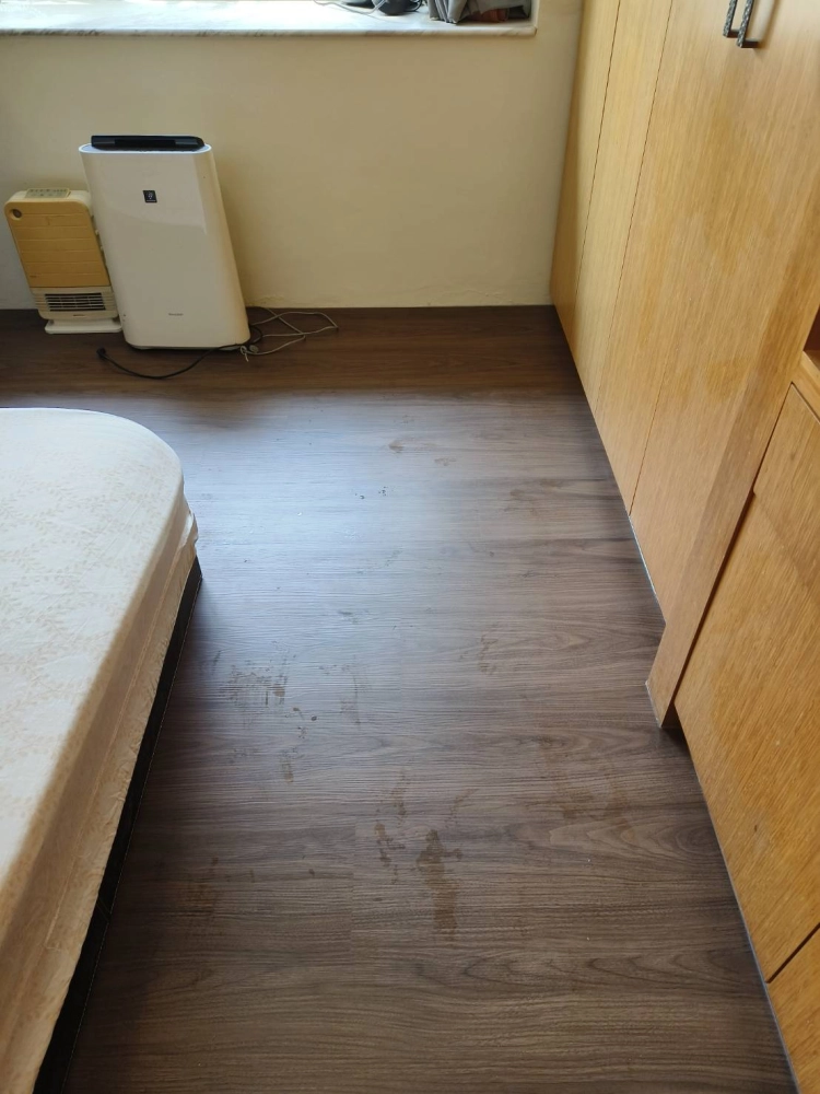 內湖內湖路 018 SPC