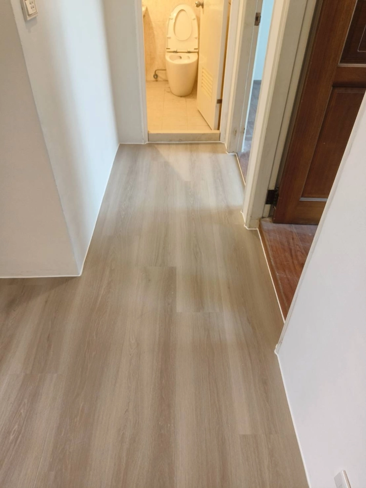 新埔鎮文山路 035 SPC