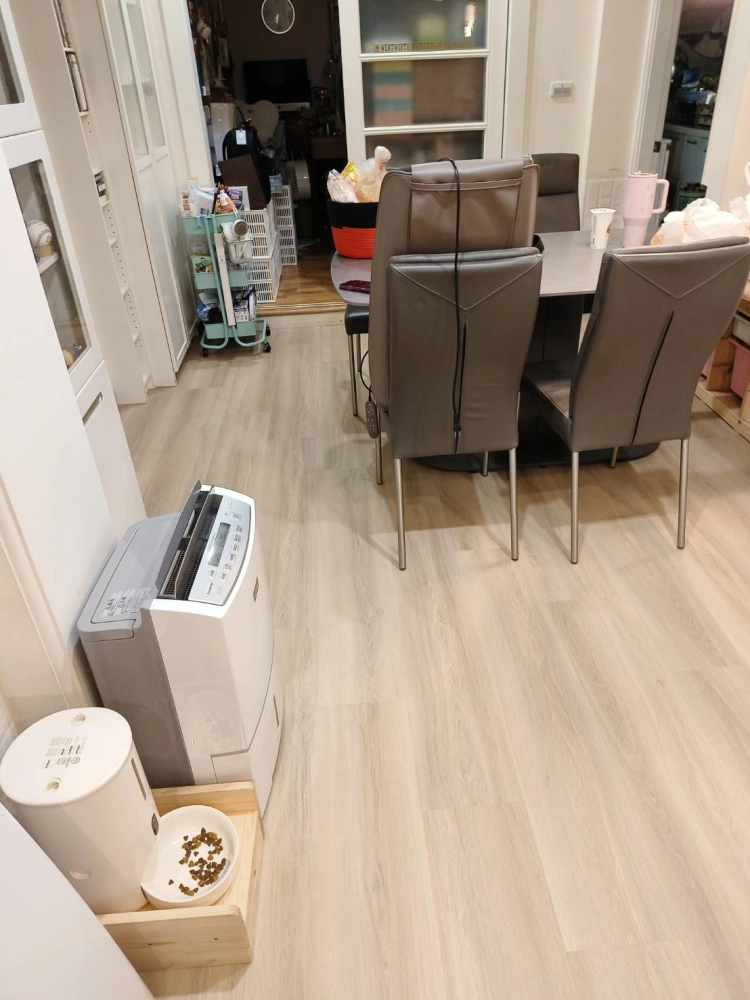 士林基河路 806 SPC