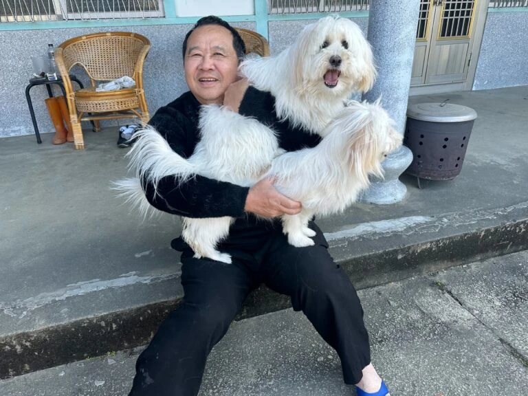 2024NEW!!中國回台案例*兩隻狗狗終於跟主人團聚囉
