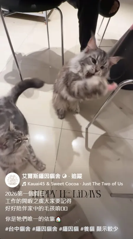 2026第一個假日 工作的閒暇之虞大家要記得 好好陪伴家中的毛孩唷