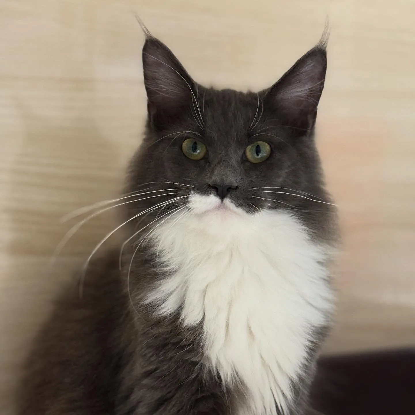 這是很日常的生活照