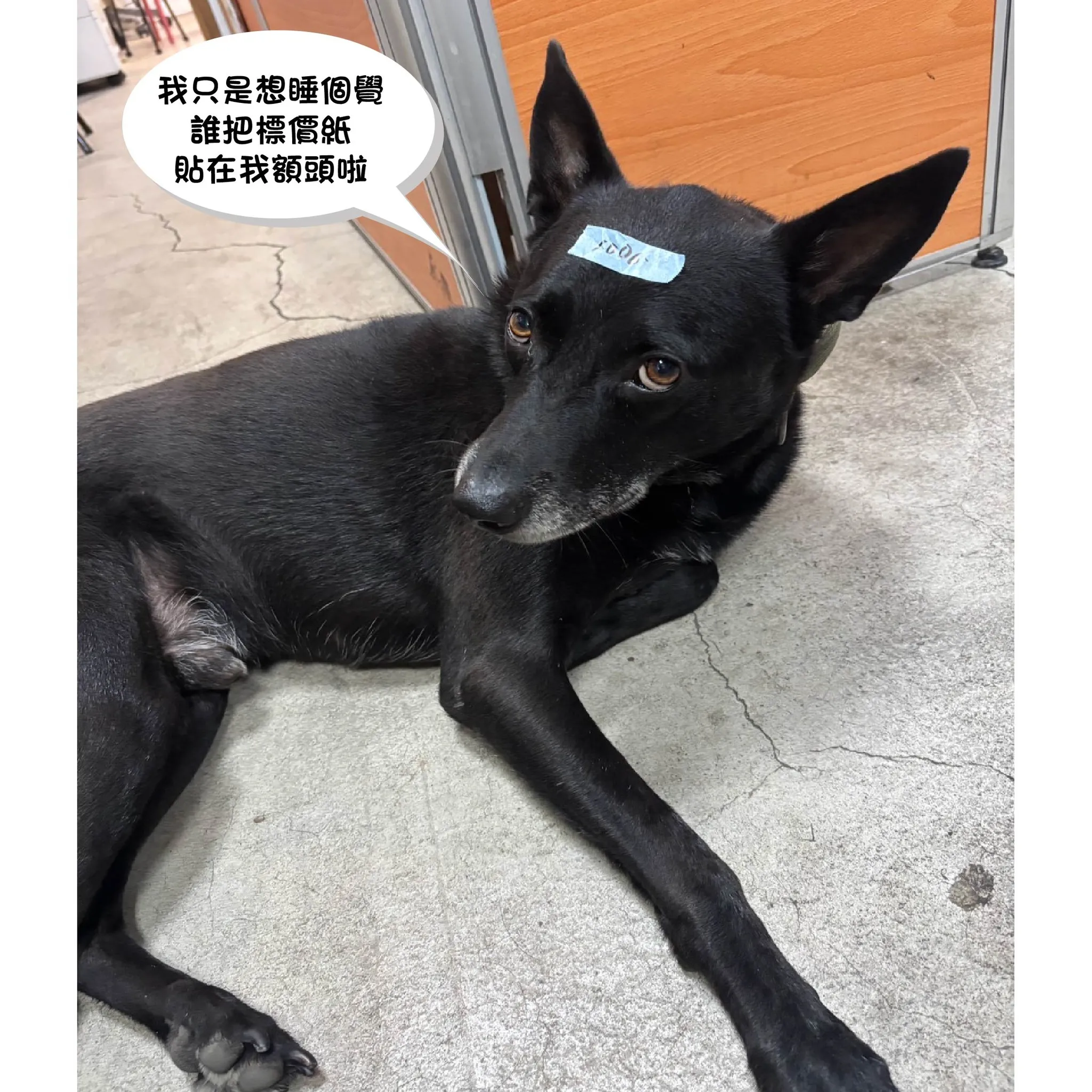 【8/8活動火熱進行中】 買家具怕荷包痛？趕快把握最後機會！截圖此貼文，現場出示即享折扣！家具特賣