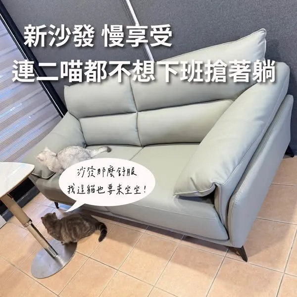 新沙發到底有多舒服？不只人坐了愛上，連家裡二喵都不想下班搶著躺！