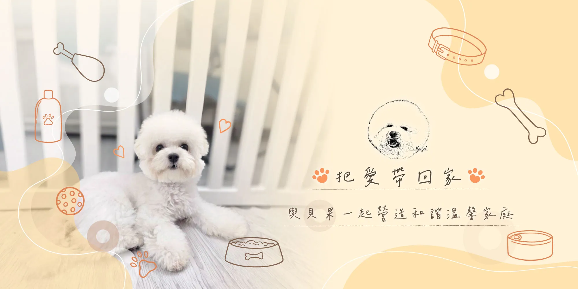 貝果犬舍-犬舍,犬舍推薦,台中犬舍,霧峰犬舍推薦,東區犬舍推薦