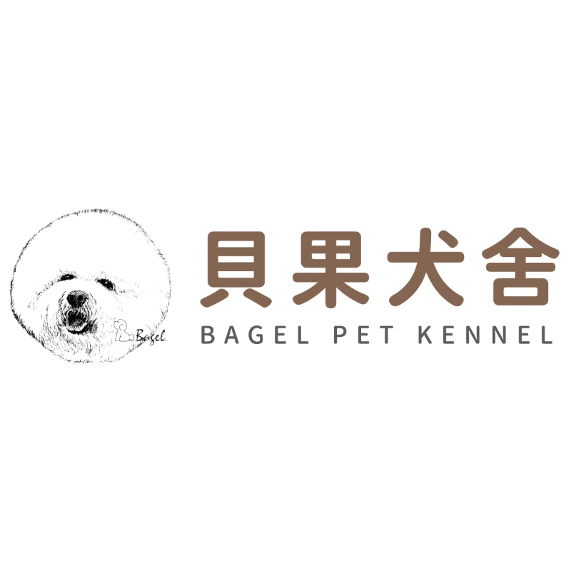 幼犬多久可以外出散步？疫苗、外出時機與注意事項完整解析