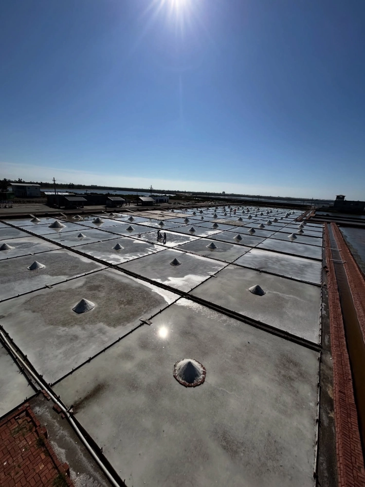 台灣旅遊推薦｜台南包車旅遊｜安南區包車旅遊