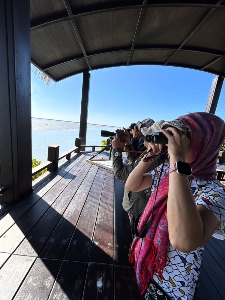 台灣旅遊推薦｜台南包車旅遊｜安南區包車旅遊