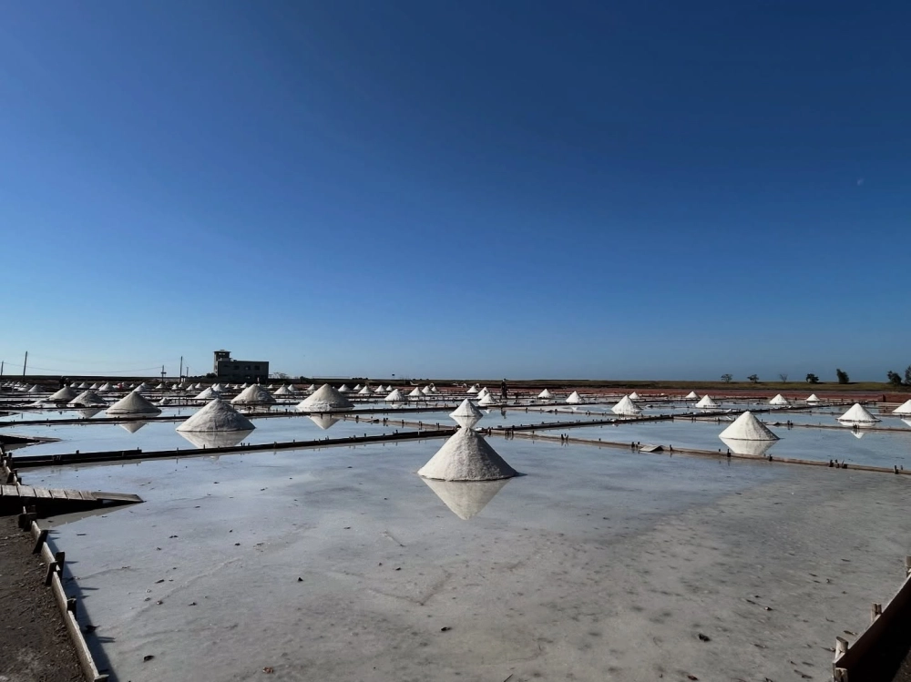 台灣旅遊推薦｜台南包車旅遊｜安南區包車旅遊