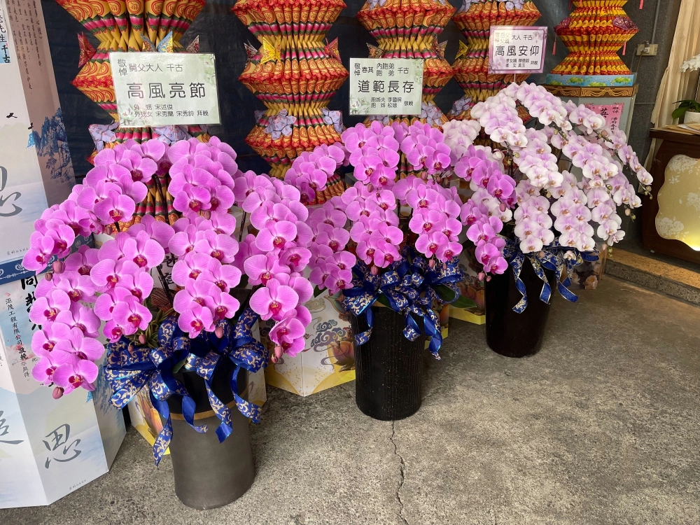 蘭花盆
