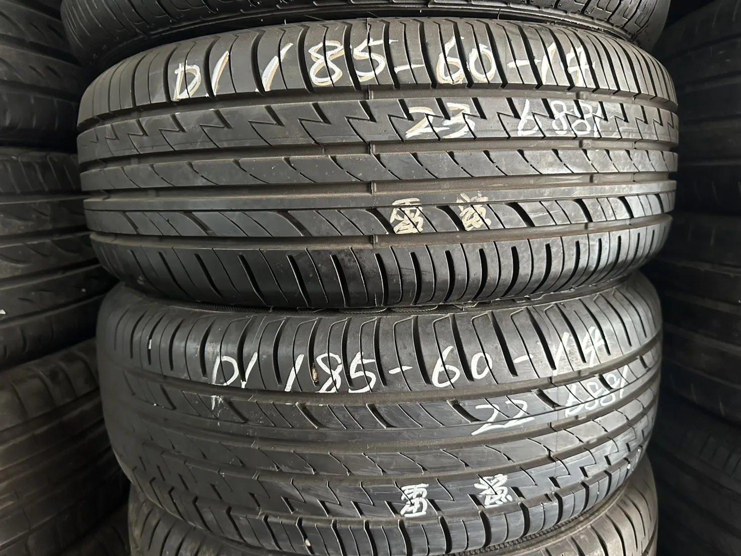 雷鯊 二條 185-60-14