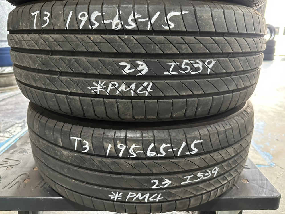 米其林PM4 二條 195-65-15