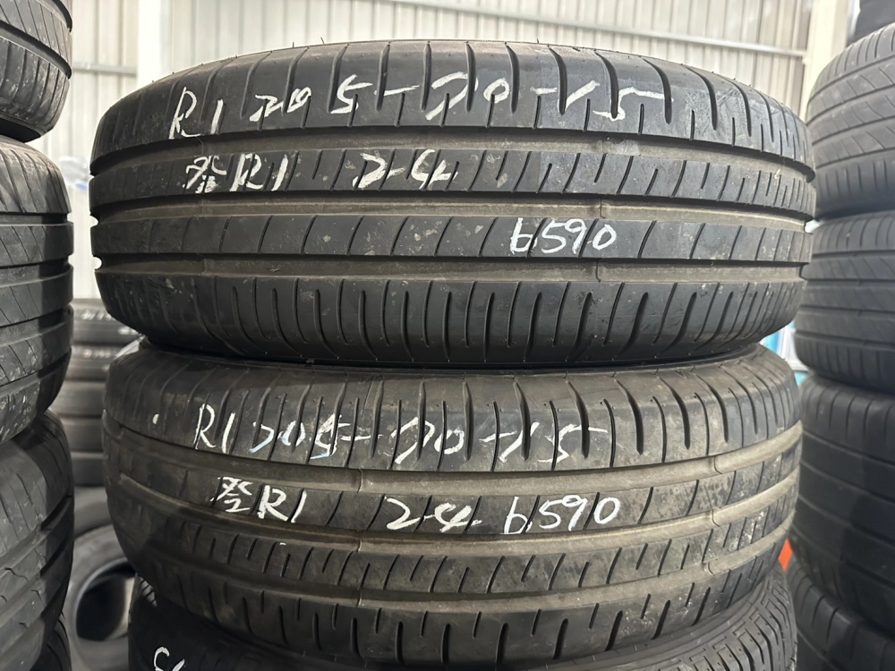 登錄普R1 二條 205-70-15